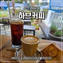 주정차단속-34 | 부산 해리단길 카페 하브커피 해운대 소개 및 주차 팁까지