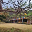 아름솔 유치원 이미지