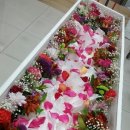 메디힐병원 이미지