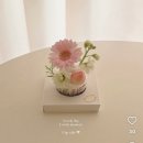 제이앤블룸 | [청량리] 생화 컵케이크 '블룸앤버터' 내돈내산 가격과 솔직후기
