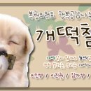 행복드림복권