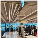 웰니스핏 이미지