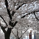 금오산로-19 이미지