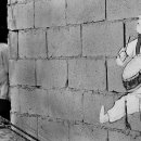 동서대로 이미지