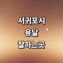 신효동-25 | 추천 화물용달 운송 대여 가격 견적 라보용달 소형 퀵서비스 침대 금액 다마스 렌트 후기 1톤용달 대형