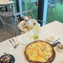 에움 456 | 하남 애견동반 양식집 &lt;에움456 하남본점&gt; 솔직후기