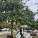 필한의원 | 홍대 한의원 약초필 후기, 다음엔 가슴받기로 했어요 :)