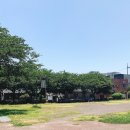 41호공원 이미지