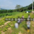 보리네숲어린이집 네이버블로그