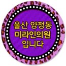 미라인의원 이미지