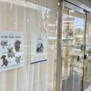 뽀도독(for the dog) 이미지