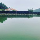 주성낚시터 이미지