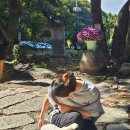 사릉로156번길1 이미지