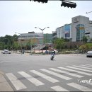 이가참치 이미지