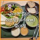 제일팜 | [교대역 샐러드맛집] 리브팜 교대 멕시칸 포크 샐러드 후기