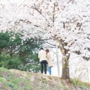 홈플러스 조치원점 이미지