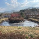 칠성휴게소 | 🇰🇷[강원]_속초 1박 2일 여행기 : 척산온천휴양촌/칠성조선소/조개상회 본점/속초항/최옥란할머니순두부...