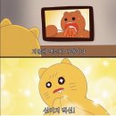 동그란,댕 네이버블로그