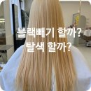 블랙미용실
