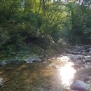 언제나방목닭민박 이미지