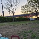 쿠 | 공덕 디저트 맛집, 쿠키오코 솔직후기 (애오개역 카페 추천)