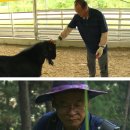 영철농장 이미지