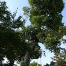 목사내아 이미지