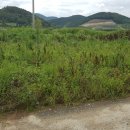 공인농장 이미지