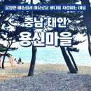 용신어촌체험휴양마을 이미지