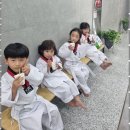 용인대 영웅 태권도장 이미지
