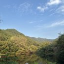전하작은도서관 화장실 | 전주 아이와 가볼만한 곳, 학산숲속시집도서관 여행 후기