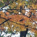 운치1리 경로당 이미지