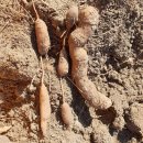 현율농장 이미지