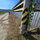 산동농장 이미지