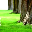 PC ＆ 인터넷천국 이미지