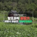 국곡리 입석 이미지