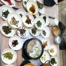 신노량 | 와운 천년송 수달래