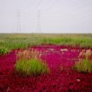 대부바다향기 테마파크 이미지