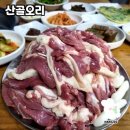건강하고 맛있는 오리, 산골오리 방문기