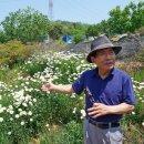 (주)알카메디 네이버블로그