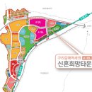 청계구리
