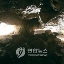 제주선흘리벵뒤굴 이미지