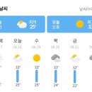 과연 2020년에도 처서매직이 올까 이미지