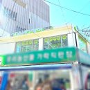 다모헤어 - 성북구 | 시흥동 미용실 다모 헤어 만족스러웠던 볼륨매직 솔직 후기