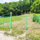 운학동 돌방무덤 이미지