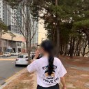 [2026 망곰베어스 V RUN] 7KM / 망곰런 굿즈, 완주 후기