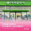 사계절약국 이미지