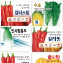 주식회사 농우 이미지