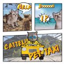 캣틀리에 이미지