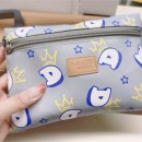 <b>시크</b><b>헤라</b>에서 파우치가 왔어요~